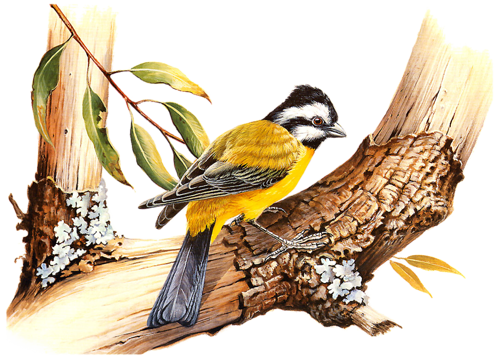 őszi állatok_30.png